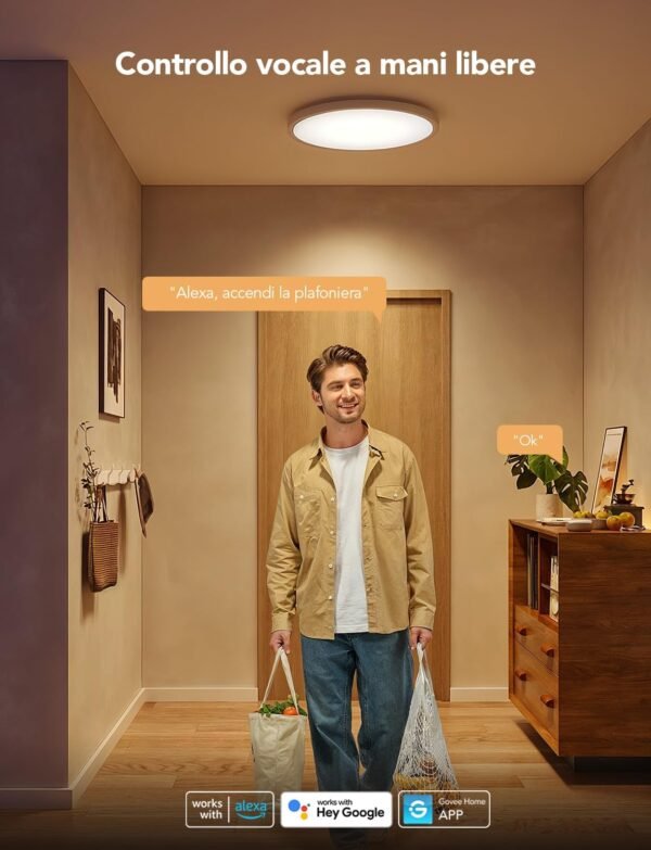 Govee RGBIC LED Plafoniera, Plafoniera Intelligente da 30 cm, 2400LM 2200-6500K Plafoniera a Incasso con 16 Milioni di Colori Fai Da te, Plafoniera per Camera da Letto, Soggiorno, Corridoio, Cucina - Image 4