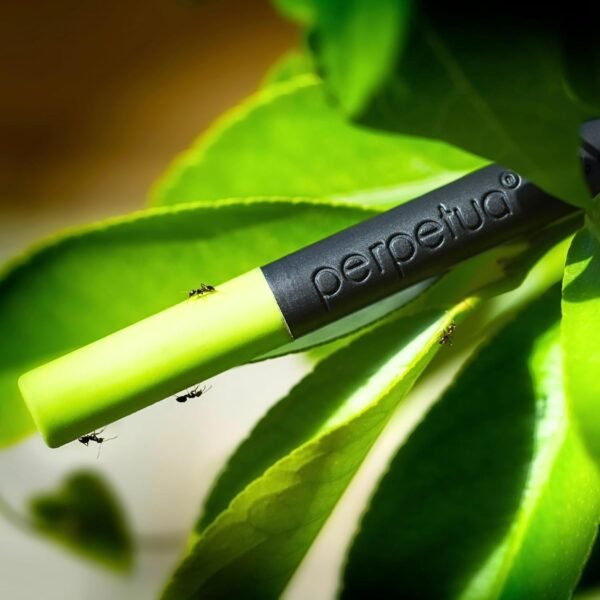 Perpetua Matite HB Ergonomiche in Grafite Ricilata e Gomma Colorata, Idea Regalo Ecologico, Lapis hb Disegno Professionale, Artistico e per Scrivere, Matita Quasi Infinita, Gadget Utili Compleanno - Image 5